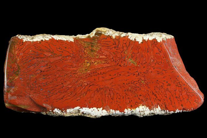 Red, Indonesian Plume Agate Slab - North Sumatra #149615